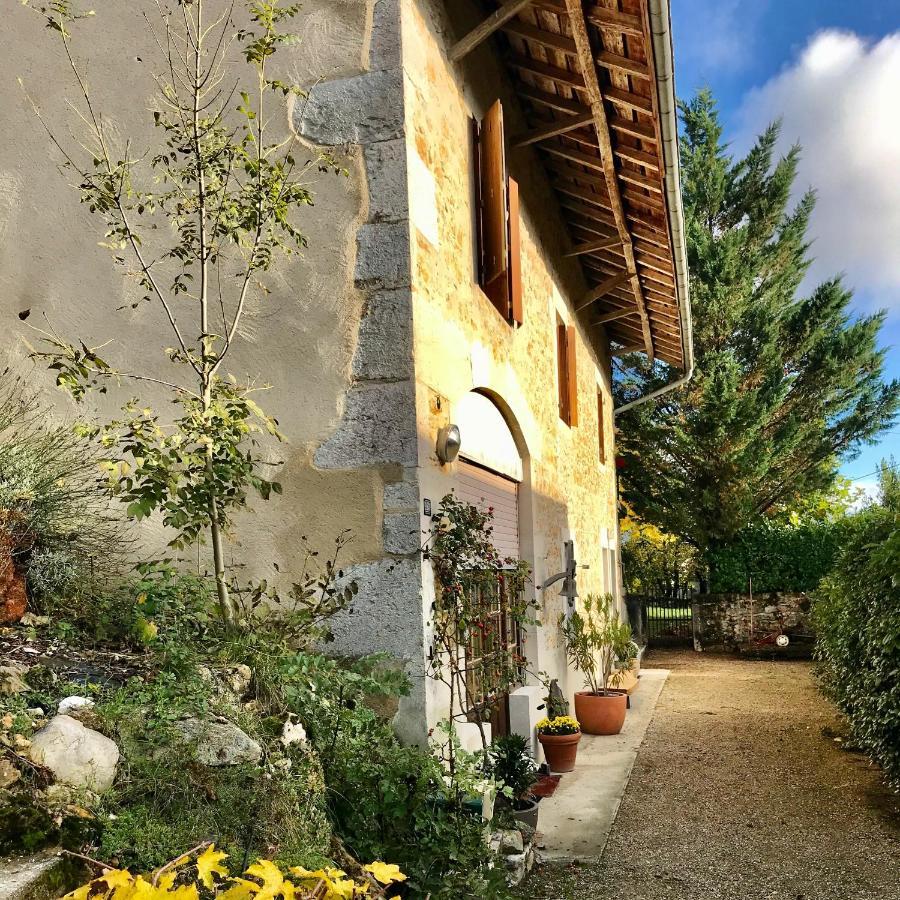 Le Pipapo Apartment Saint-Martin-de-Bavel Екстериор снимка
